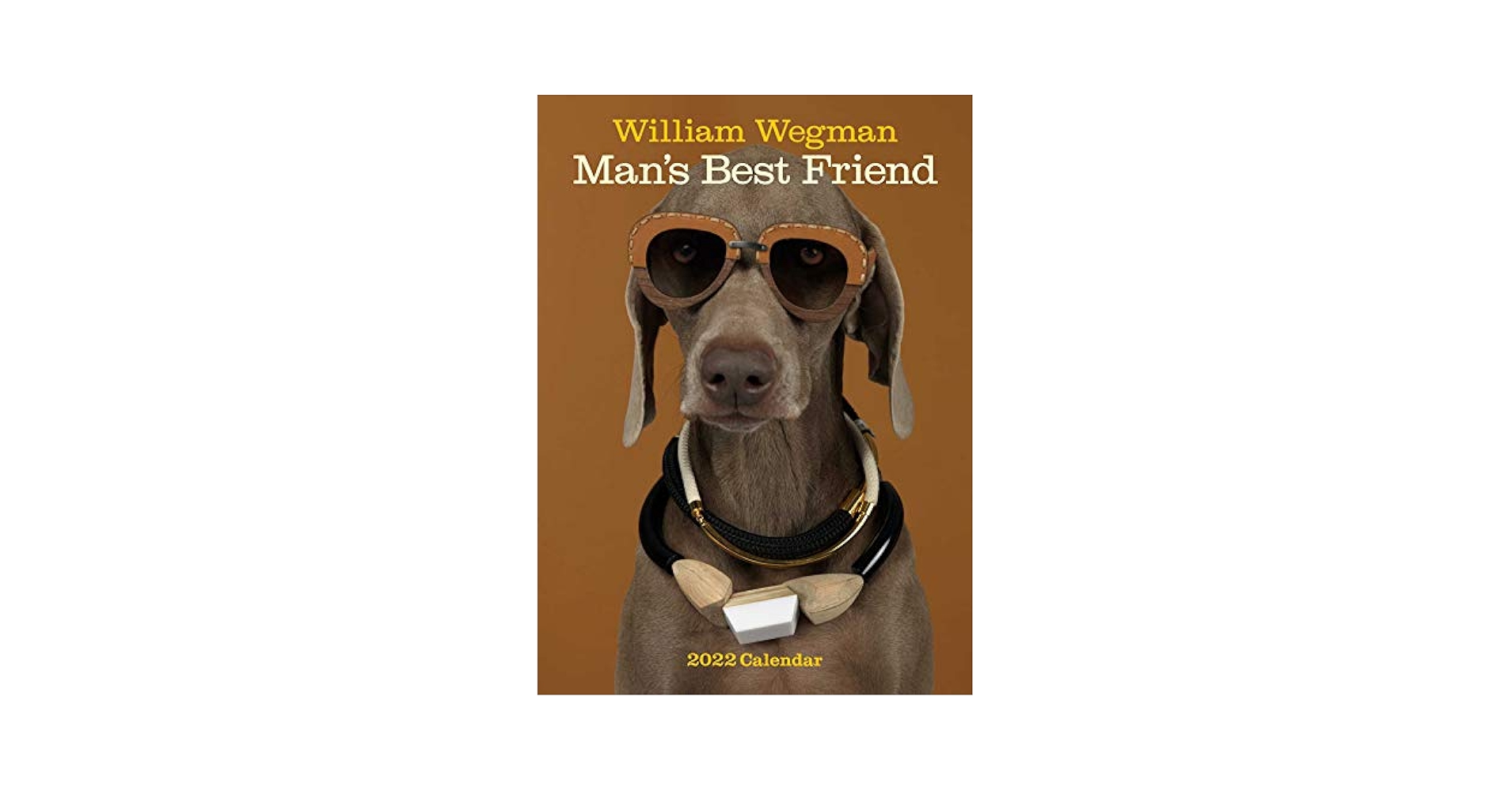 Amazon.com: William Wegman Man's Best Friend 2022 Wall