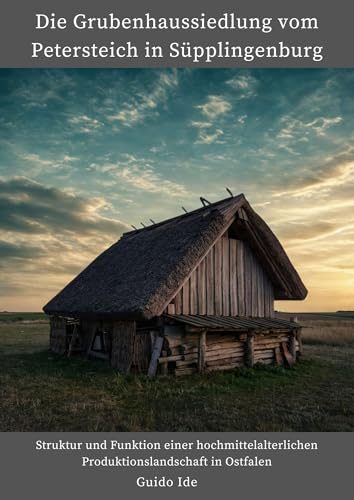 Die Grubenhaussiedlung am Petersteich in Süpplingenburg: Struktur und Funktion einer hochmittelalterlichen Produktionslandschaft in Ostfalen