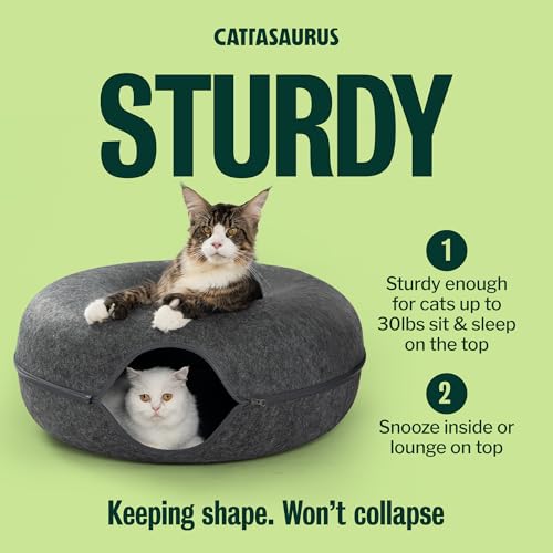 Image of Cattasaurus Peekaboo Cat Cave Donut for Multiple & Large Cats up to 30-45 lbs, 3-in-1 Self Warming Cat Bed, Tunnel & Scratcher for Indoor Cats, Washable & Detachable Small Dog Bed (Dark Gray, Jumbo)