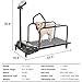 Dog Treadmill for Large & Small Dogs, Pet Fitness Treadmill Electric Pet Running Machine with Safety Fence, Quiet Motor, and Adjustable Speeds for Indoor Exercise