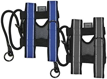 cesar millan no pull collar