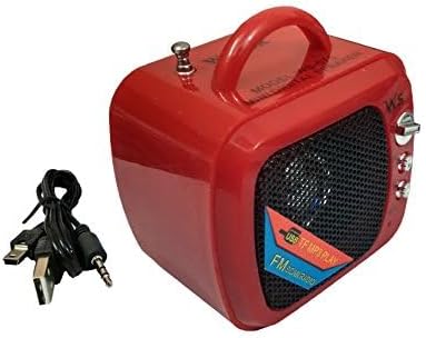 WS-575 Portable Wireless Speaker with charging cable