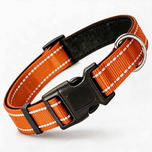 Collar reflectante para perro tamaño S color naranja