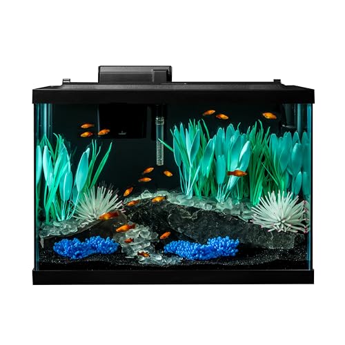 Tetra ColorFusion Aquarium 20-gallon Fish Tank Kit