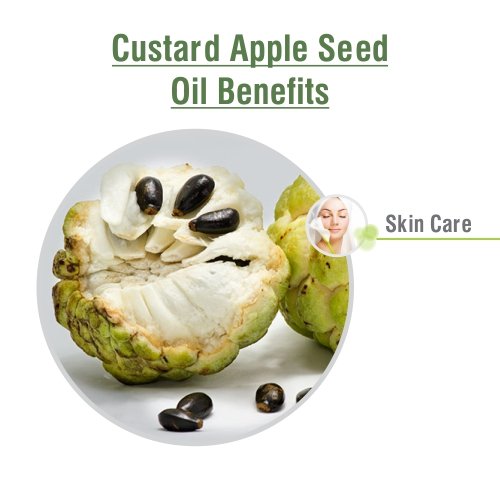 Image of B-URBAN Custard Apple Seed Oil 100% Natural Pure Undiluted Uncut Carrier Oil 100ml