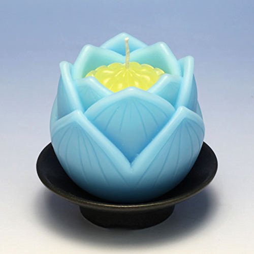 ځij Ԍ^[\N RĎ 18 sN p[v zCg u[ (u[)