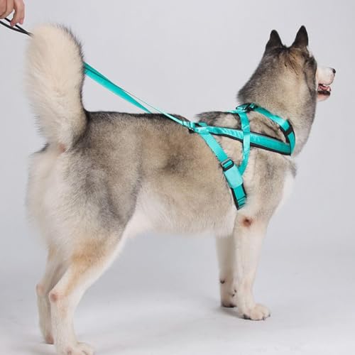 CGACCSD Schlittenhund Geschirr | Reflektierendes Laufgeschirr Für Hunde,Verstellbares Zugseil Für Schlittenhundetraining Spaziergänge Laufsport Outdoor Aktivitäten