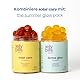 Jelly Pills Gummies mit Beta-Carotin + Lycopin & Vitaminen A, C, E – 60 vegane Gummies – Ohne Zuckerzusatz – Erdbeergeschmack – Beschleunigt die Bräunung & Schützt die Haut