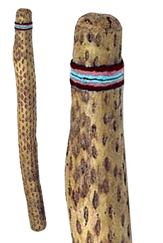 Regenmacher aus Chile Länge 150 cm Ø 6-8 cm braun Kaktus-Holz Kaktus Rainmaker