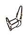 Royal King Leather Track Halter Weanling