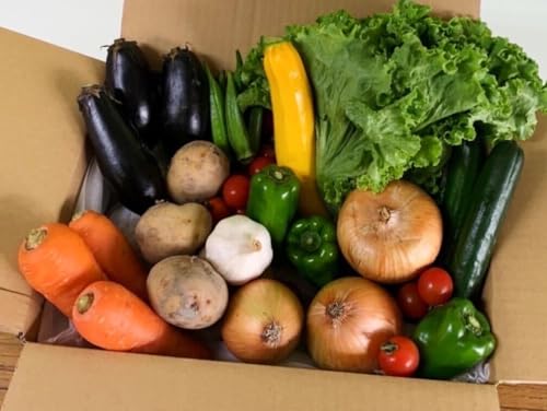 [定期便年4回]阿波の国海陽町 旬のお野菜詰め合わせセット 8〜12品×4回 野菜 定期便 野菜定期便 年4回 徳島県 海陽町産 野菜セット 季節の野菜 詰め合わせ おまかせ