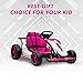 Go Kart, Electric Drift Kart Car with Adjustable Seat, 24V 7Ah Outdoor Ride On Toy, 2 * 200W Motor, 8.1 MPH, LED Lights, Toy Race Car for Kids 6-12 Years Old