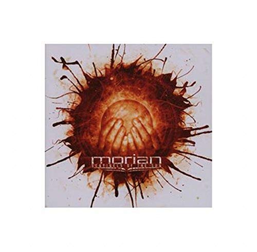 Sentinels Of The Sun