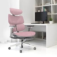 Amazon.co.jp: CAGUUU アクシスエルゴコア オフィスチェア デスク