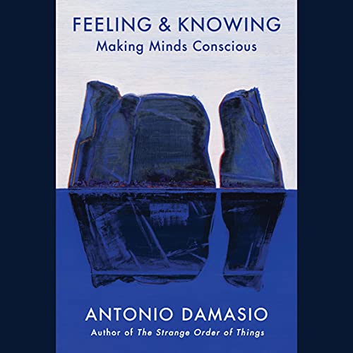 Cover Image of Feeling & Knowing: Making Minds Conscious