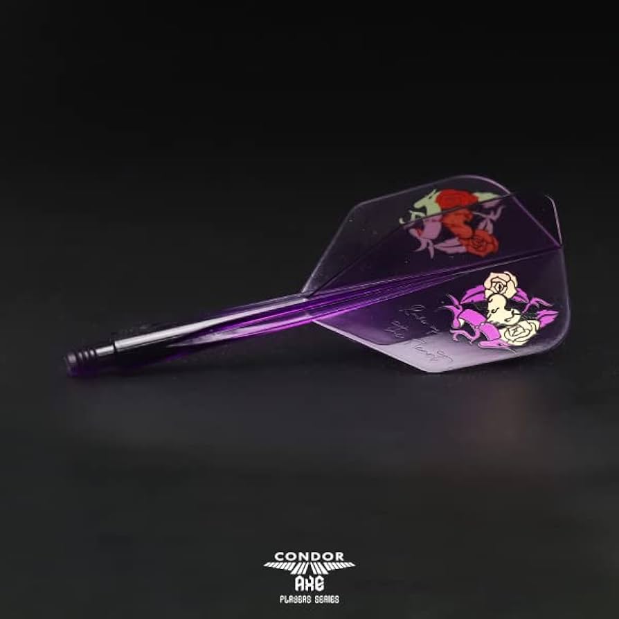 TRINIDAD LAZY エスダーツ限定モデル&AXE CONDOLフライトL TRINIDAD LAZY エスダーツ限定モデル&AXE CONDOLフライトL