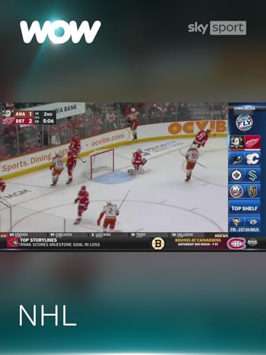 NHL On the Fly 14.11.2025