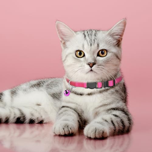 Collar para perro estampado de huellas con cascabel para mascotas y cachorros 8