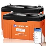 ECO-WORTHY – ECO-WORTHY 2 PACK 12V 314Ah LiFePO4 Bluetooth Batterie mit D