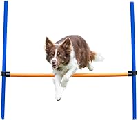 Vista 1 de TRIXIE Agility Hurdle Adjustable Dog Jump, Ideal for Beginners & Advanced, Dog Obstacle Course Equipment 1 x Hurdle
