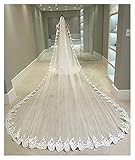 Hermoso velo de carreras de boda, tipo elegante, perfecto para un hermoso vestido de novia