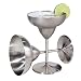 Oggi 12-Ounce Stainless Steel Margarita Goblets, Set of 2