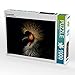 Produktbild CALVENDO Puzzle Kronenkranich 1000 Teile Lege-Größe 64 x 48 cm Foto-Puzzle Bild von Eleonore Swierczyna