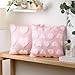 HunnmingRe 2 Pcs Valentine's Day Heart Throw Pillow Covers 18x18 Inch Embroidery Heart Love Pillow Cases Plush Faux Fur Pillowcase Valentines Day Decor for Home Living Room Bed Couch Covers(Pink)