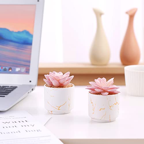 Artificial Plants and Succulents in 2 White Ceramic Pots,Small Fake Plants for Office and Desk Decor,Bathroom, Bedroom,Shelves for Women