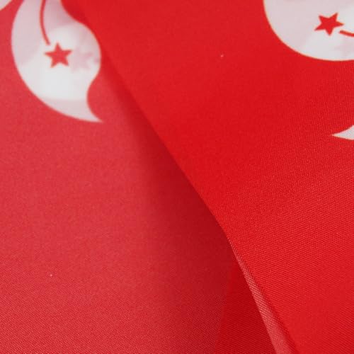 Image of AZ FLAG Hong Kong 6 meters BUNTING Flag 20 flags 9'' x 6'' - Hong Konger STRING flags 15 x 21 cm