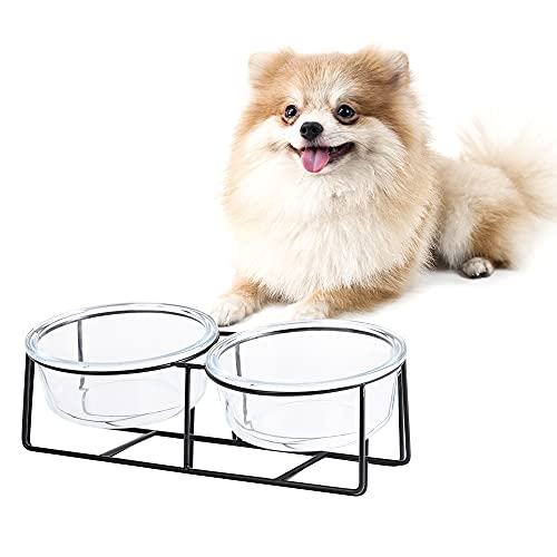 Gamelle Chat Chien - Gamelle Chat Surélevée et Inclinée avec Support - Gamelle pour Chat et Petit Chien Choit en Verre - Double Anti Vomissements Orthopédique Bol pour Eau et Nourriture - 600 ML×2 Cover