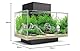 Fluval Edge 2.0 Nano Aquarium, 23L, schwarz, 1 Stück (1er Pack)