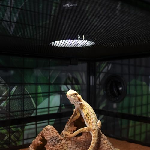 REPTI ZOO UVB Light Bulb for Reptile, 5.0 & 10.0 UVB UVA Reptile Light Bulb for Turtles Bearded Dragon Gecko Lizard Snake, Full Spectrum Sun Lamp Energy-Efficient & Natural Sunlight Simulation by REPTI ZOO - Used condition - Image 7