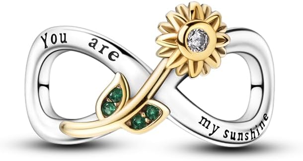 CYCUFF 925 Sterling Silver Charms Suitable for Bracelet Pendants Beads, Charm Necklaces Jewellery Gift for Women