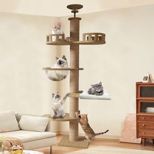 （21:00時点） CozyMeow キャットタワー 突っ張り 木製 キャットツリー 木登りタワー 多層無垢材 太い支柱 スリム 宇宙船 ハンモック 多頭飼い 大型猫用 猫タワー 人気 おしゃれ 爪とぎ つめとぎ 猫 かわいい ねこ キャットウォーク 安定性良い 高さ調整幅235~260cm(高さ235~260cm)