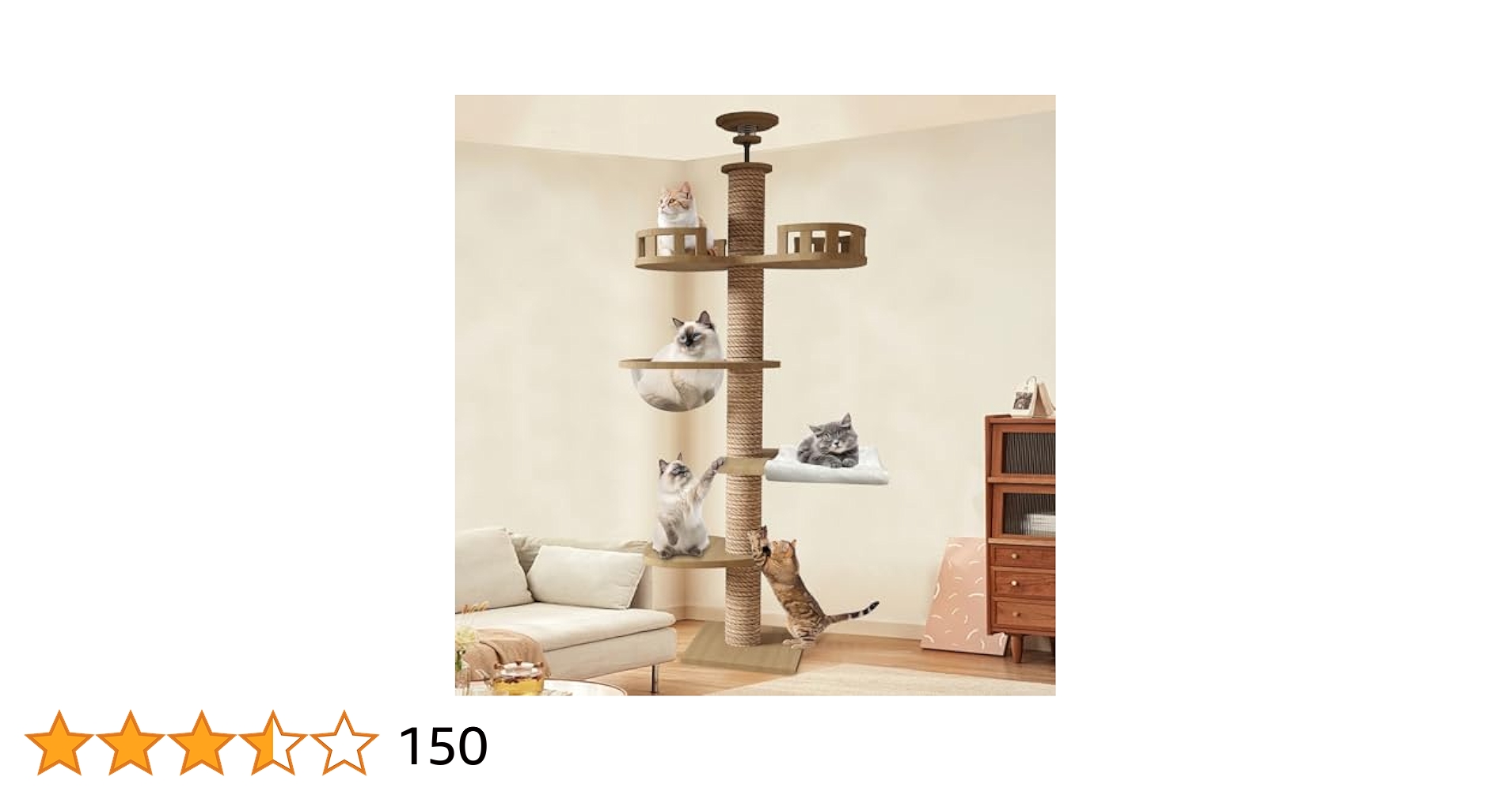 41--lp9U6lL.jpg_BO30,255,255,