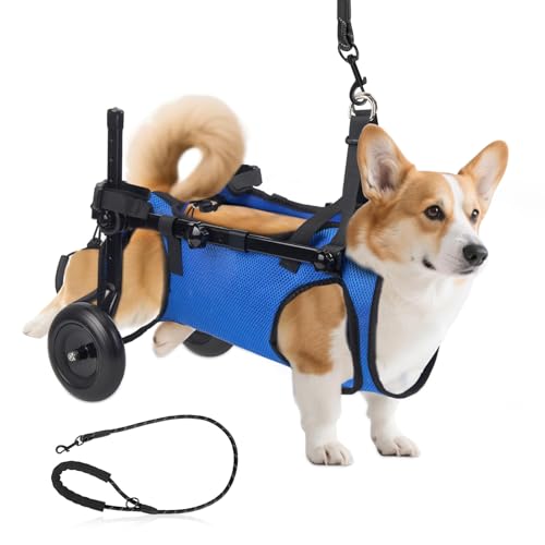 Sedia a rotelle regolabile per cani di piccola taglia, supporto zampe posteriore pieghevole con ruote, misura M, aiuto per la mobilità per zampe posteriori paralizzate (S)