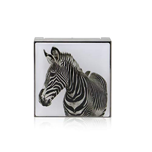 Chantecaille Luminescent Eye Shade - Zebra 2.5 G #TOP2