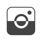 Level Camera