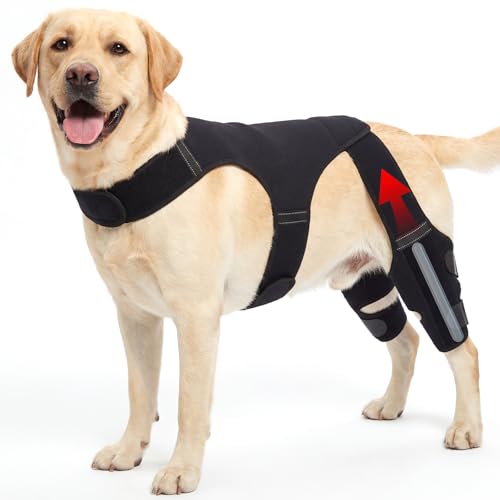 BEOZINZ ���p�G�u���[�X ��둫 �㎈ ACL ���p�u���[�X�T�|�[�g �X�^�r���C�U�[�t�����߉\�ȃ_�u���h�b�O���b�O�u���[�X�ACCL�̔j��A�G�W���̒o�ɁA�x�ё����AS