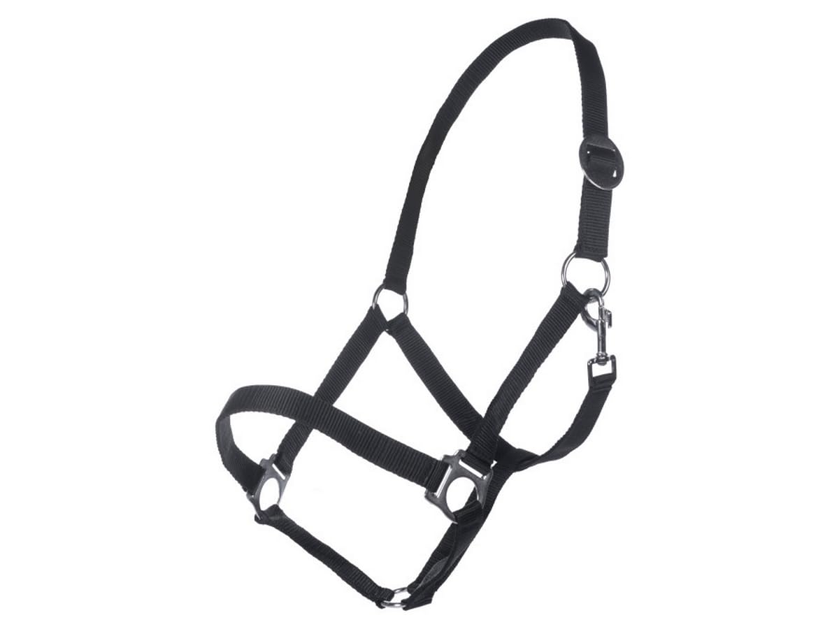 Licol noir HKM Classic pour cheval pur-sang