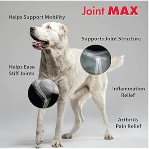 TS-Joint-Supplement-Vet-Formulated-Pain-Inflammation-Relief-Treats-Hip-Dysplasia-Arthritis-Glucosamine-Chondroitin-Turmeric-MSM-HA-Creatine-Omega-3-EPA-DHA120-Soft-Chews - Cucciolini Doodles   TS-Joint-Supplement-Vet-Formulated-Pain-Inflammation-Relief-Treats-Hip-Dysplasia-Arthritis-Glucosamine-Chondroitin-Turmeric-MSM-HA-Creatine-Omega-3-EPA-DHA120-Soft-Chews