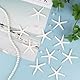 20 Stück Seestern Deko Finger Starfish Kunstharz Seesterne Meerestiere Maritime Deko Outdoor Mini Seesterne Flatback für Hochzeit Strand Motto-Party Heimdekoration Basteln Aquarium Fischernetz Deko