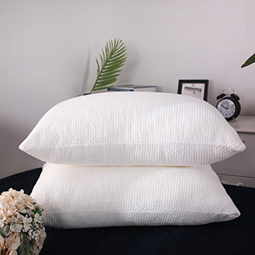Memory Foam Pillow 2 Pack Standard Size for Neck Pain Cooling Bed Pillows Home & Hotel Collection with Removable Zipper Case