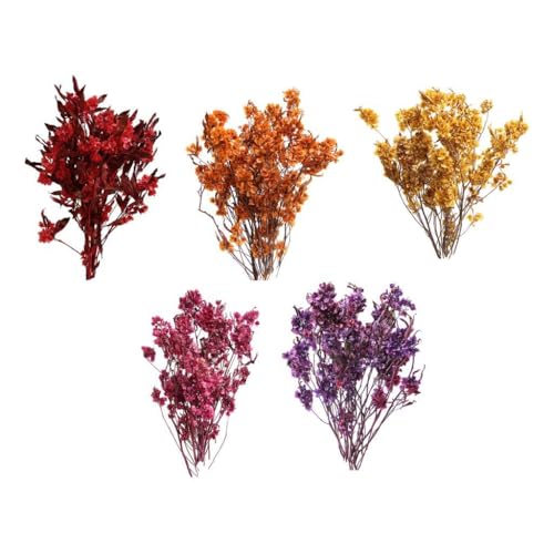 Ramo de flores secas Dodonaea Viscosa decorativo miniatura 4