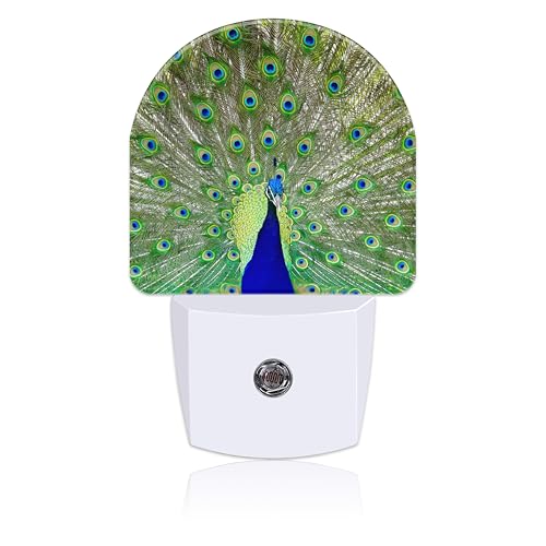 Image of Peacock Night Light with Dusk to Dawn Sensor for Room Decor, Hallway, Kitchen, Bathroom, Nursery, Stairs