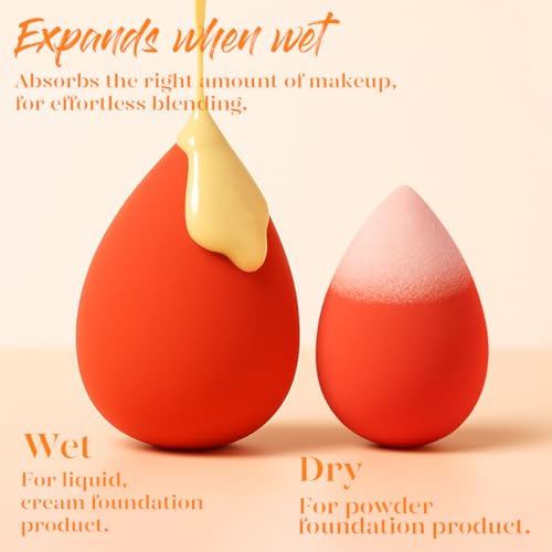 BEAKEY Makeup Sponge Set 5 Pack Micro Porous Low Absorption Soft Latex Free Foundation Beauty Sponges & Blenders for Powder Cream