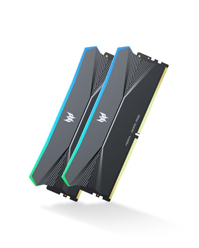 メモリー PREDATOR HERA DDR5 RGB 16GB 6400MHz 41--wiomr2L.jpg