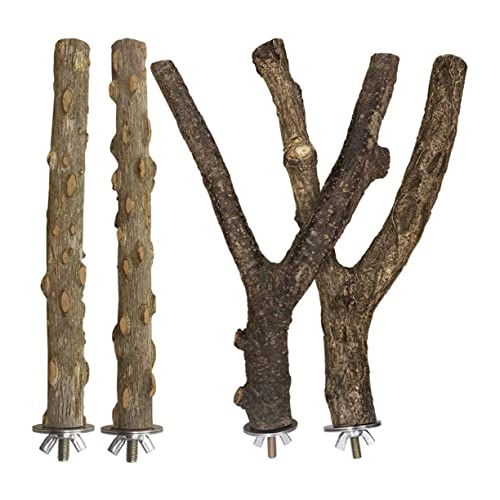 Toddmomy 1Set Wood Parrot Stand Rack and Coffee Bird Playing Stand for Training Durable Pet Supply for Parrots Bird Perch Bracket for Exercise and Fun