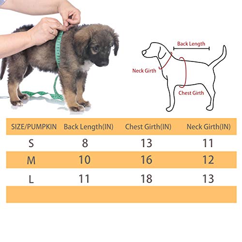 Zoneyee Pet Clothes Pet Costume Santa Outfit Pet Hoodies Party Dressing Apparel For Small Pets Dogs Puppy Kitten Cat With Leather (Red Santa, M) #TOP6